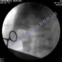 С�����ζ�����ѹģ��