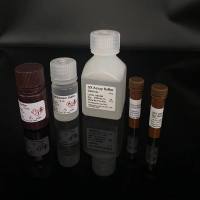 N6-异戊烯基腺嘌呤(植物细胞培养级)