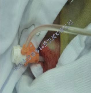 С������������Ӳ��ģ��