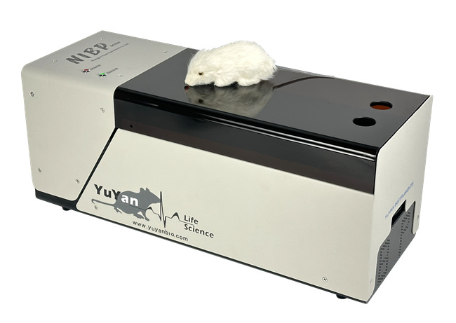 大鼠血压仪,小鼠血压仪,小动物血压测量仪