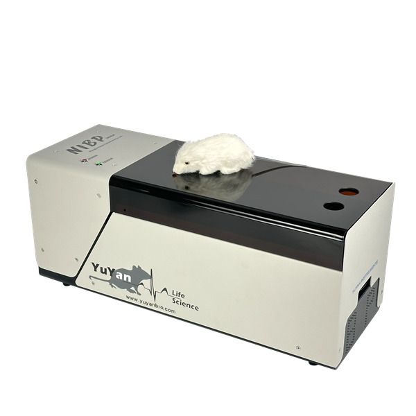 大鼠血压测量仪，小鼠血压测量仪，小动物无创血压仪