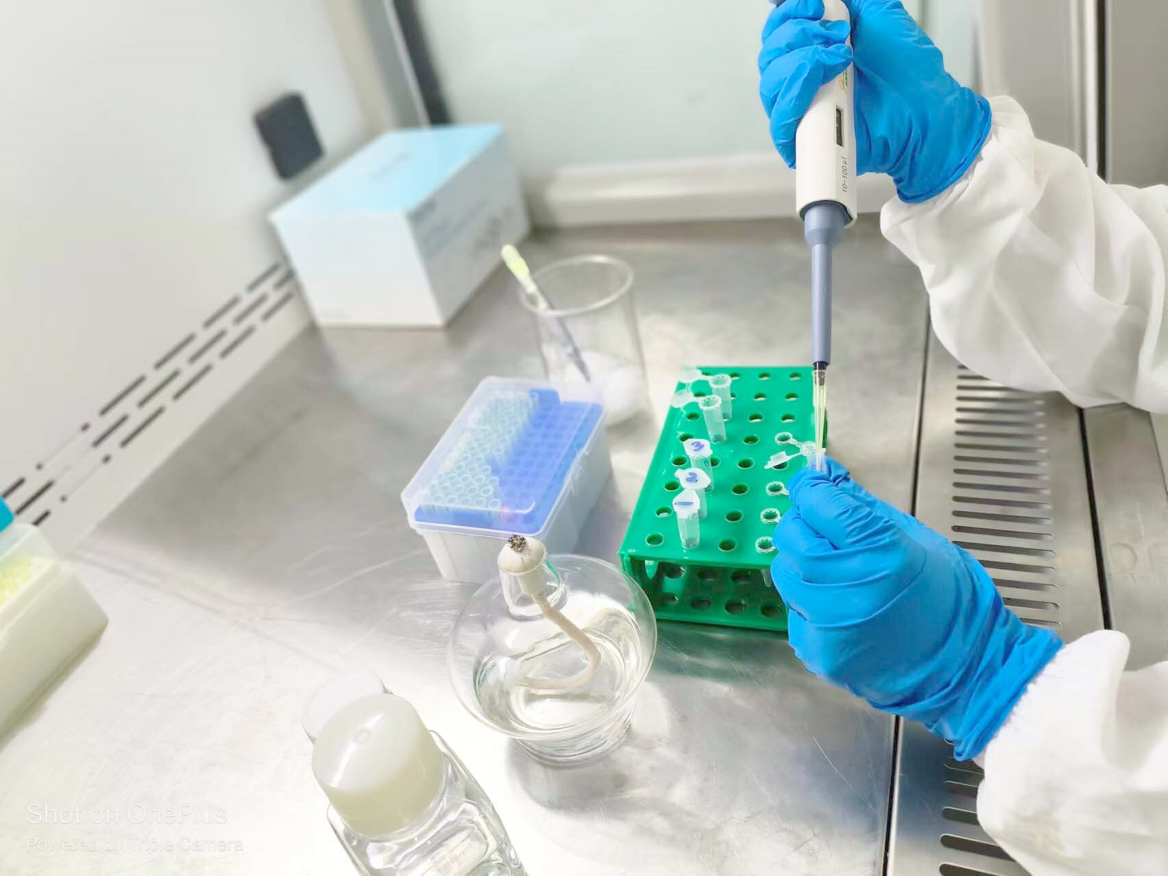 专业提供-细胞内PH校准缓冲液试剂盒