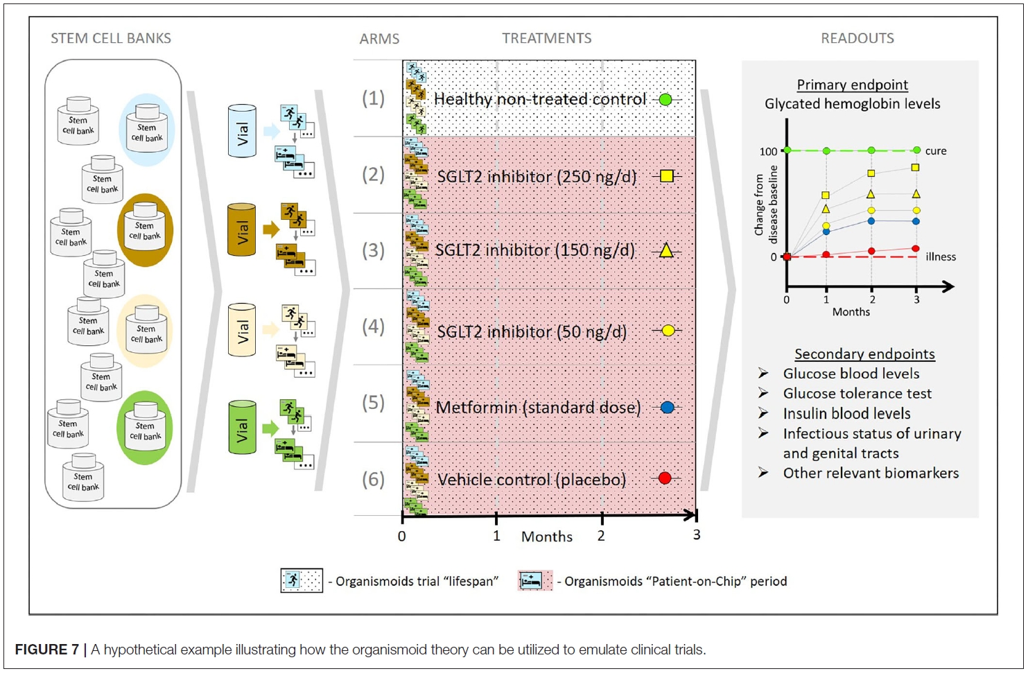 芯片上的患者—多器官串联芯片Multi-Organ-on-Chip应用于精准医疗