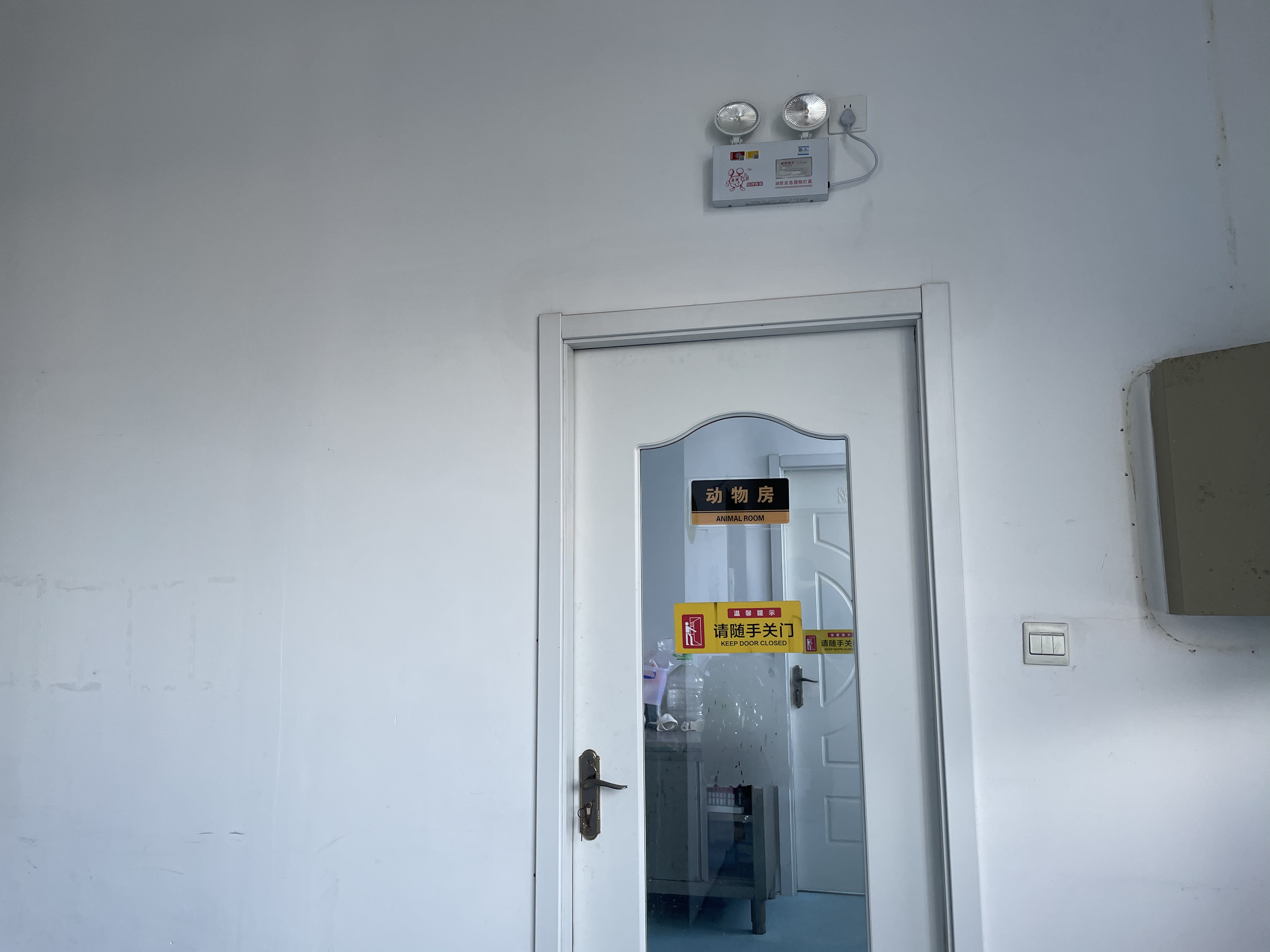 LSMLS™ Plate 1 (Water Soluble)