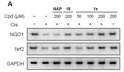 干货 | WB实验中内参有何作用？如何选择？