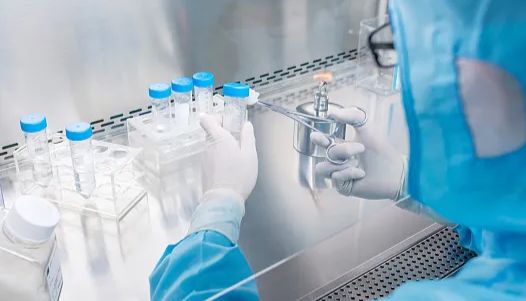 硕玺生物——蛋白提取相关知识介绍