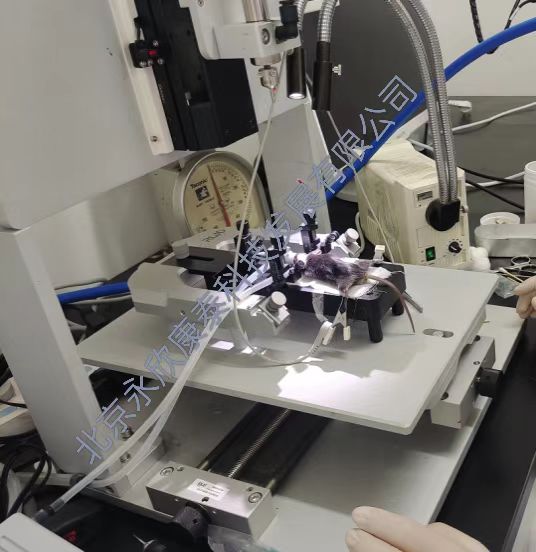 ��С��������ģ��