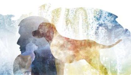 GeneTex新上架兽医学研究重组单抗