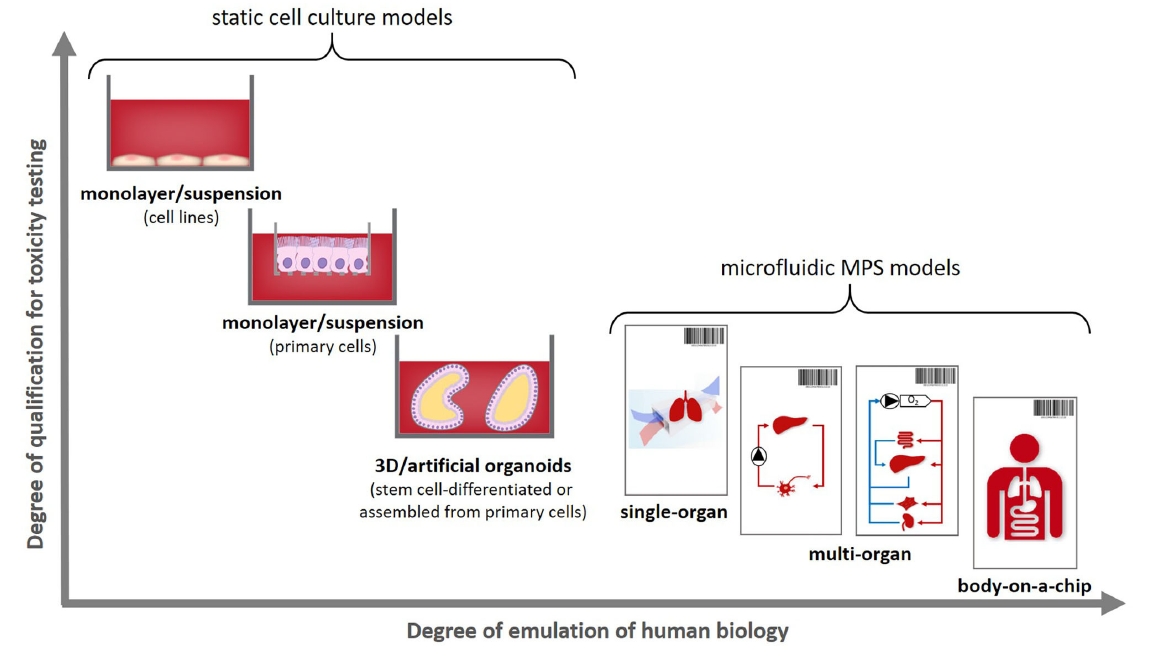 芯片上的患者—多器官串联芯片Multi-Organ-on-Chip应用于精准医疗