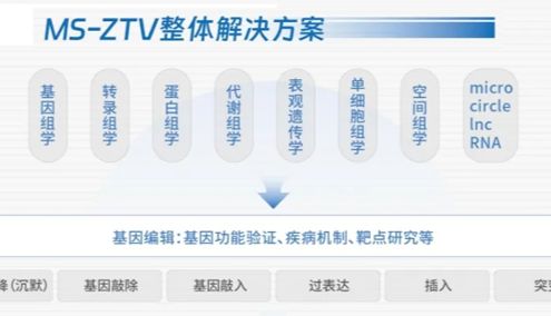 MS-ZTV平台发布！多组学和斑马鱼基因编辑技术，赋能多维度基因功能验证研究！