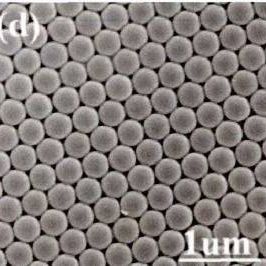 单分散聚苯乙烯微球，氯甲基，环氧基，磺酸基，羧基，空心微球，胶乳微球。