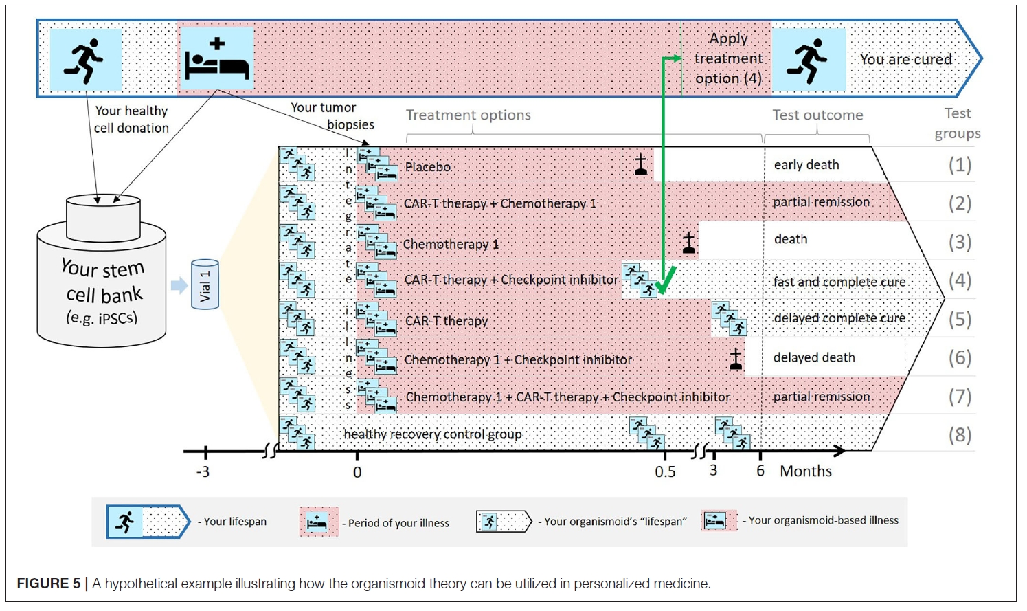 芯片上的患者—多器官串联芯片Multi-Organ-on-Chip应用于精准医疗