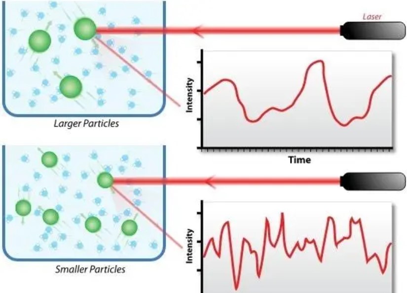 前沿进展:研究蛋白质热稳定性的几种方法
