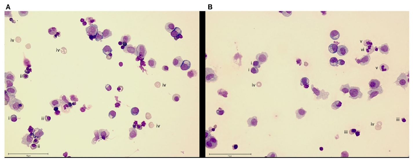 芯片上的患者—多器官串联芯片Multi-Organ-on-Chip应用于精准医疗