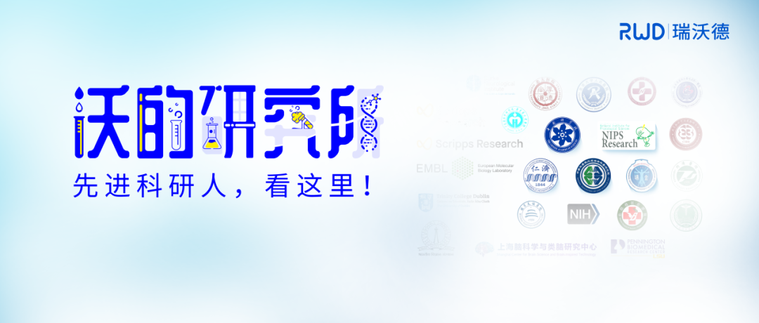 探索细胞代谢：西南医科大学江涌团队周牮博士5年创新研究历程