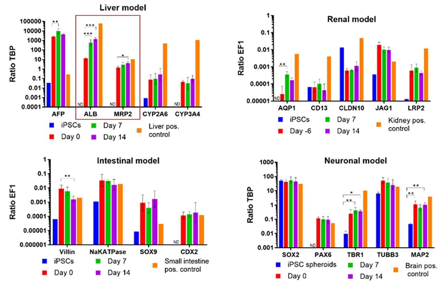 芯片上的患者—多器官串联芯片Multi-Organ-on-Chip应用于精准医疗