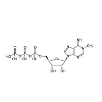 N1-Methyl-ATP Sodium Salt, 100mM