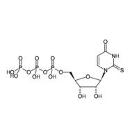2-Thio-UTP Sodium Salt, 100mM