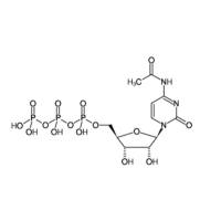 N4-Acetyl-CTP Sodium Salt, 100mM