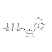 N6-Methyl-ATP Sodium Salt, 100mM