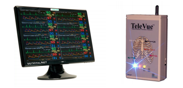 动物监护仪，大鼠监护仪，小鼠监护仪