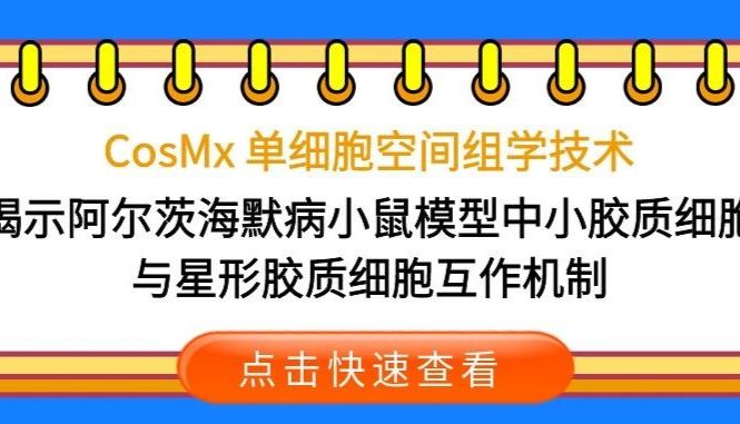 CosMx 单细胞空间组学技术-揭示阿尔茨海默病小鼠模型中小胶质细胞与星形胶质细胞互作机制