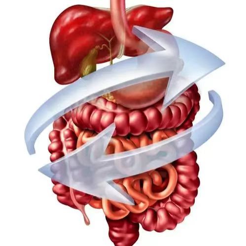 炎症性肠病动物模型