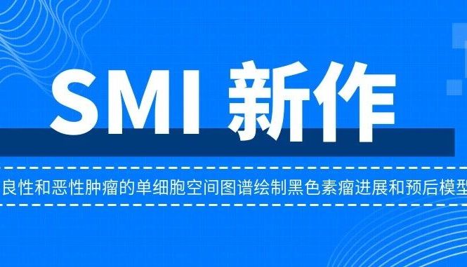 SMI新作：基于良性和恶性肿瘤的单细胞空间图谱绘制黑色素瘤进展和预后模型