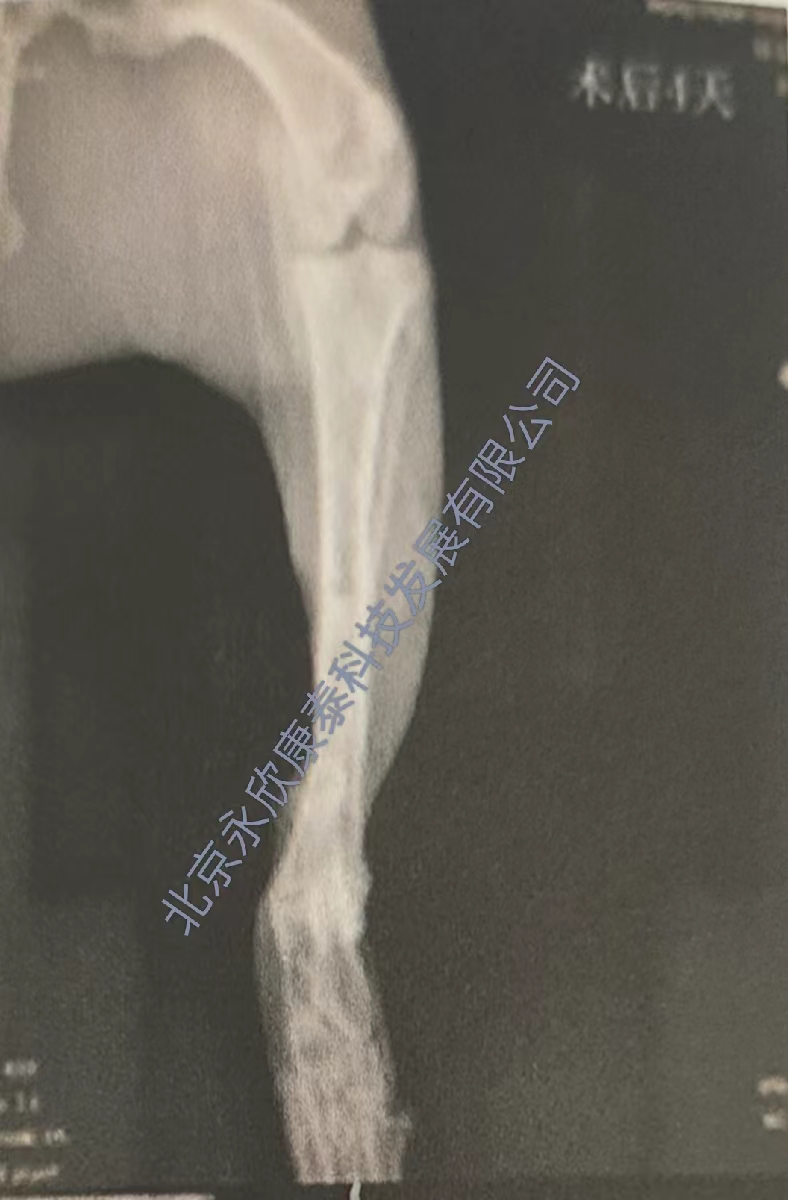 ��ȱ�𡢹ɹ�ͷ��������ģ��