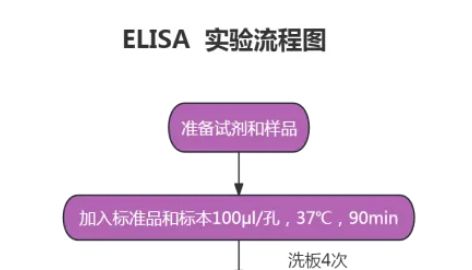 免疫学三大实验的区别
