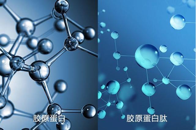 Recombinant Human TGIF2LY