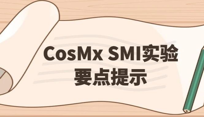 单细胞空间转录组研究成功之路——CosMx SMI实验要点提示
