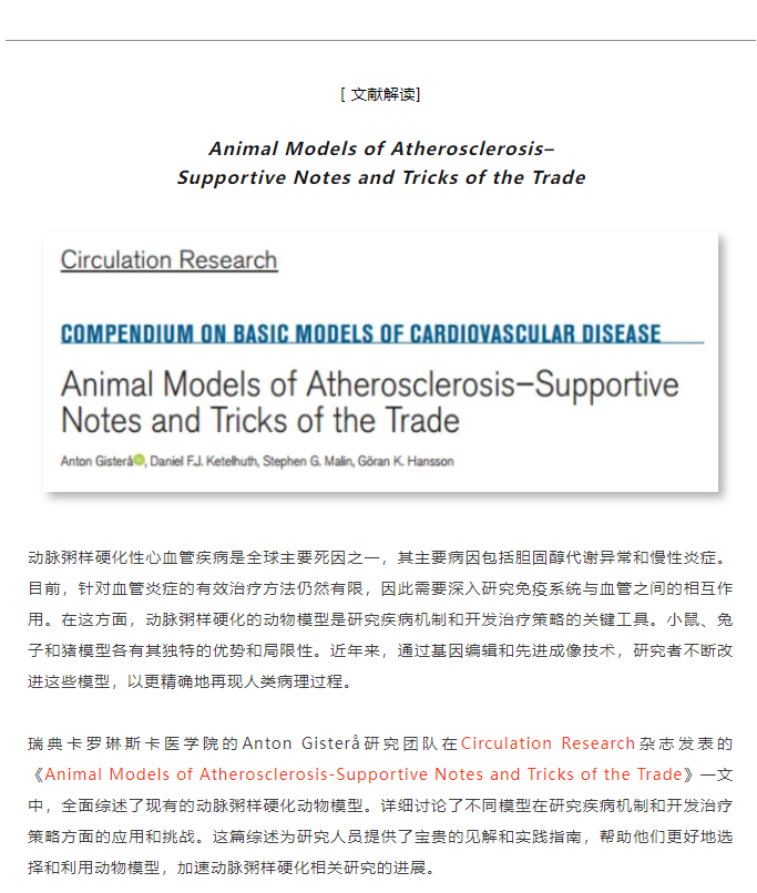 【文献解读】动脉粥样硬化的动物模型——注意事项和技巧