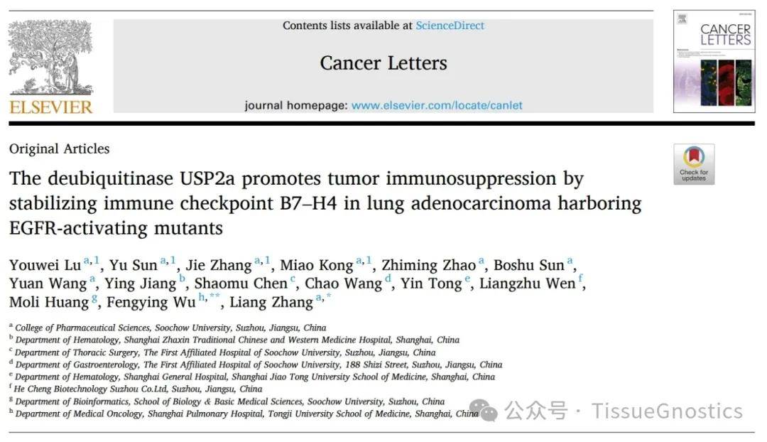 苏州大学章良教授发现USP2a 在EGFR驱动突变的肺癌中的作用，提供肿瘤治疗靶点 