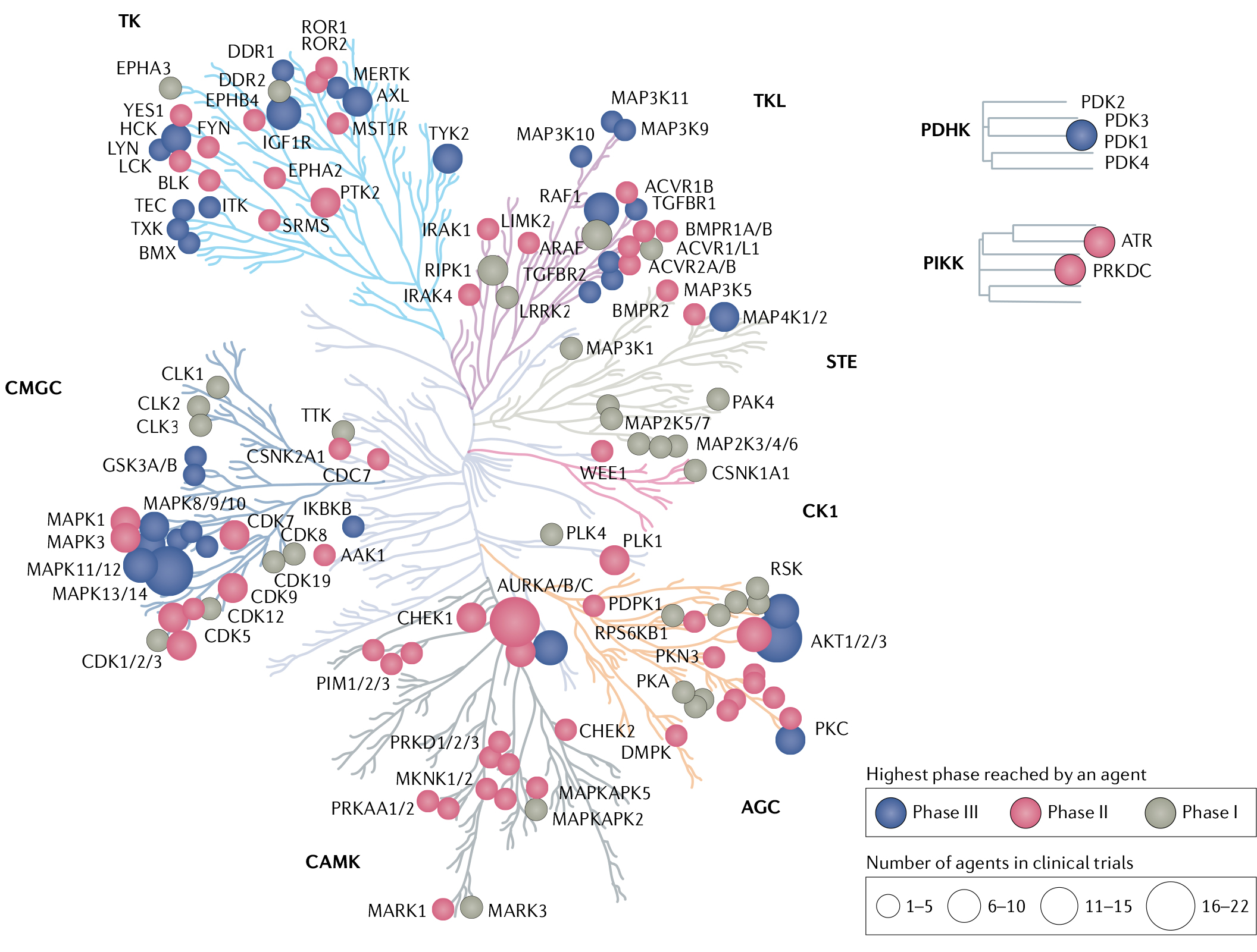 蛋白激酶的“兼职”：重要的药物靶点