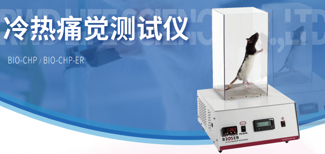 冷热盘测痛仪BIO-CHP（Bioseb）适用于大小鼠反应测
