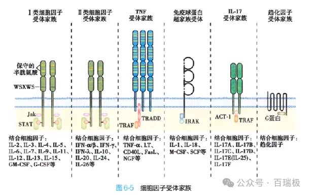 新闻图片7