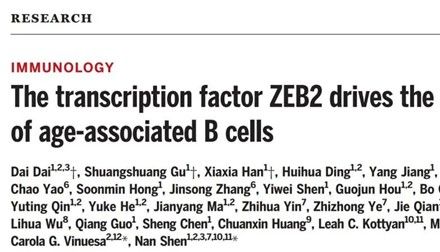 文章解读 | 仁济医院沈南团队研究成果登顶Science，单细胞转录组与表观遗传的碰撞
