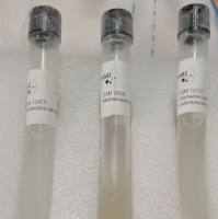 淤泥大洋芽胞杆菌