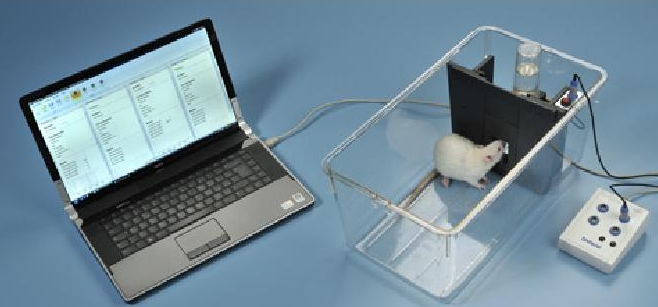 面部疼痛测试仪(Ugo Basil)测量三叉神经区域刺激痛