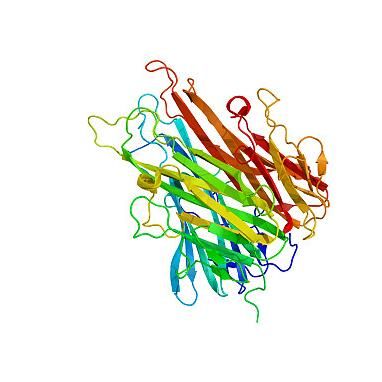 Recombinant Human DORA产品图