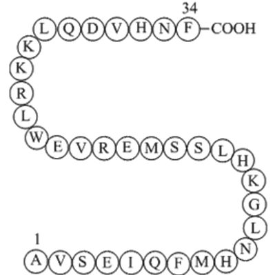 Parathyroid Hormone (1-34), bovine