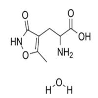 (RS)-AMPA monohydrate