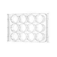 Clear Cell Culture Plate, Tissue Culture Treated, Flat Bottom, With Lid, Sterlie （透明细胞培养板，TC处理，平底，带盖，无菌）(CCP01006-B/CCP01012/CCP01024/CCP01096-B)