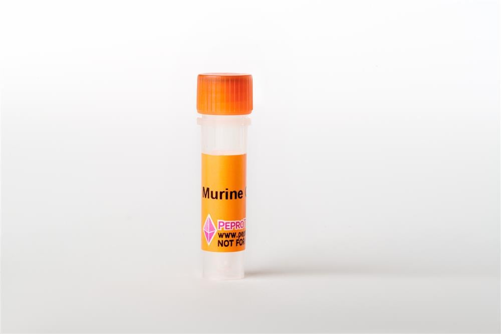 Recombinant Murine M-CSF