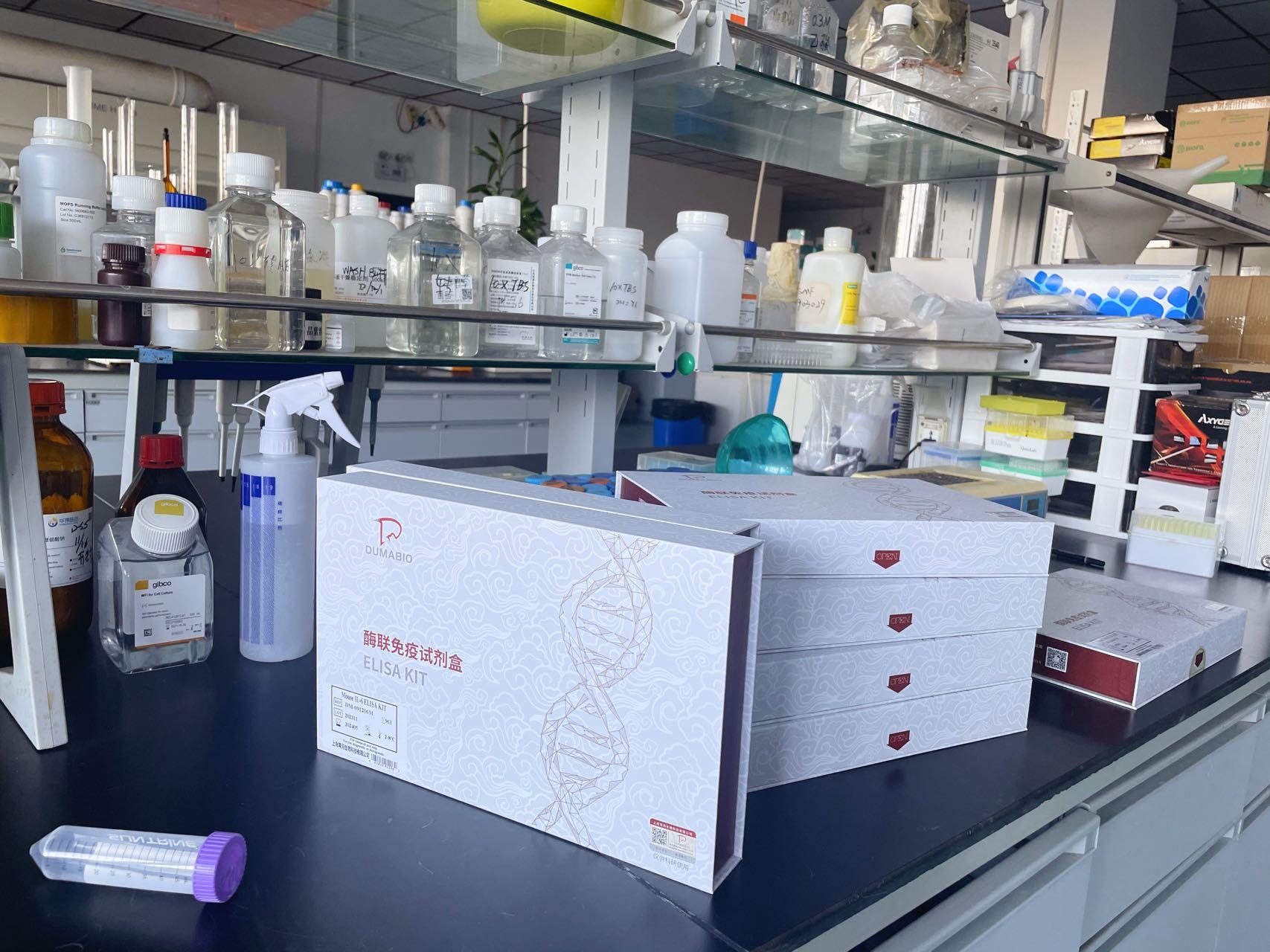 EZFluor™ UV 1-step Fluorescent