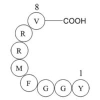 Adrenorphin, Free Acid