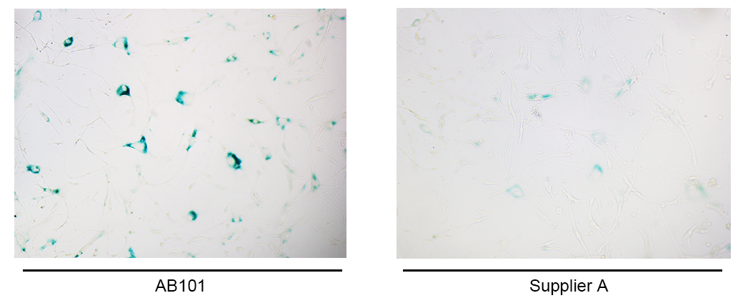 南京诺唯赞生物科技股份有限公司