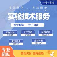 实验技术服务