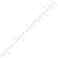 PKC β pseudosubstrate